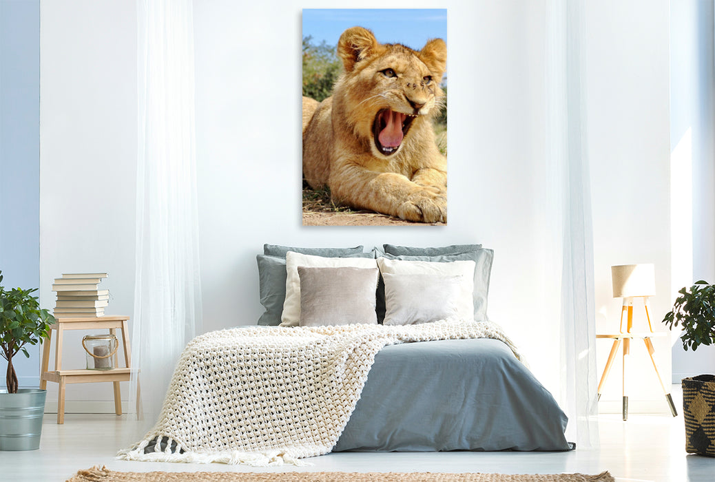 Premium Textil-Leinwand Ein Motiv aus dem Kalender FASZINATION AFRIKA TIER PORTRAITS