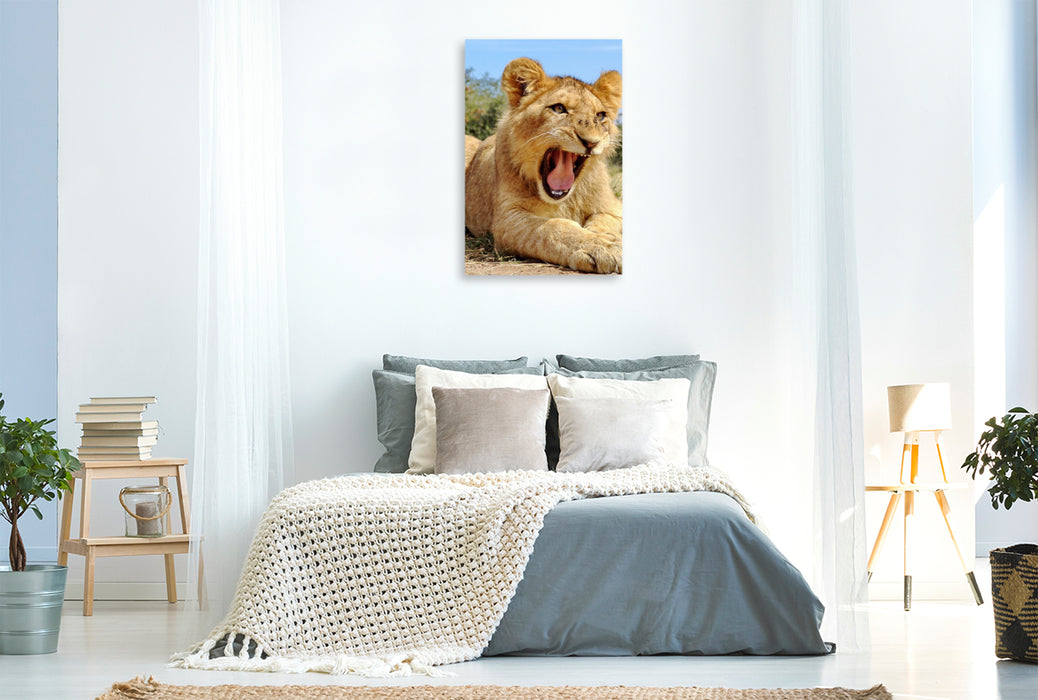 Premium Textil-Leinwand Ein Motiv aus dem Kalender FASZINATION AFRIKA TIER PORTRAITS