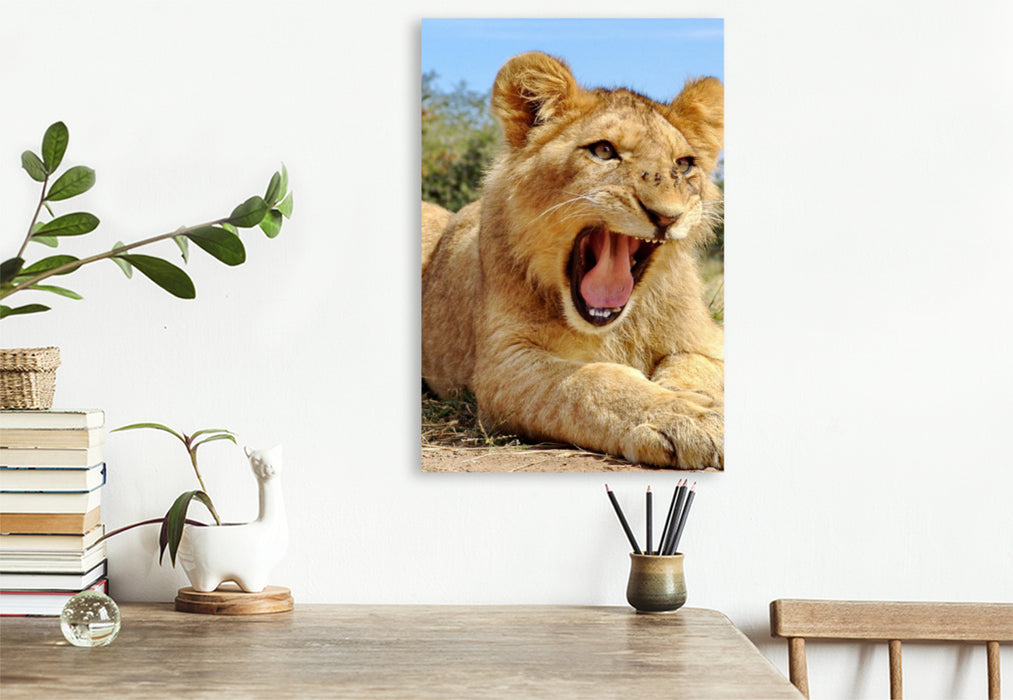 Premium Textil-Leinwand Ein Motiv aus dem Kalender FASZINATION AFRIKA TIER PORTRAITS