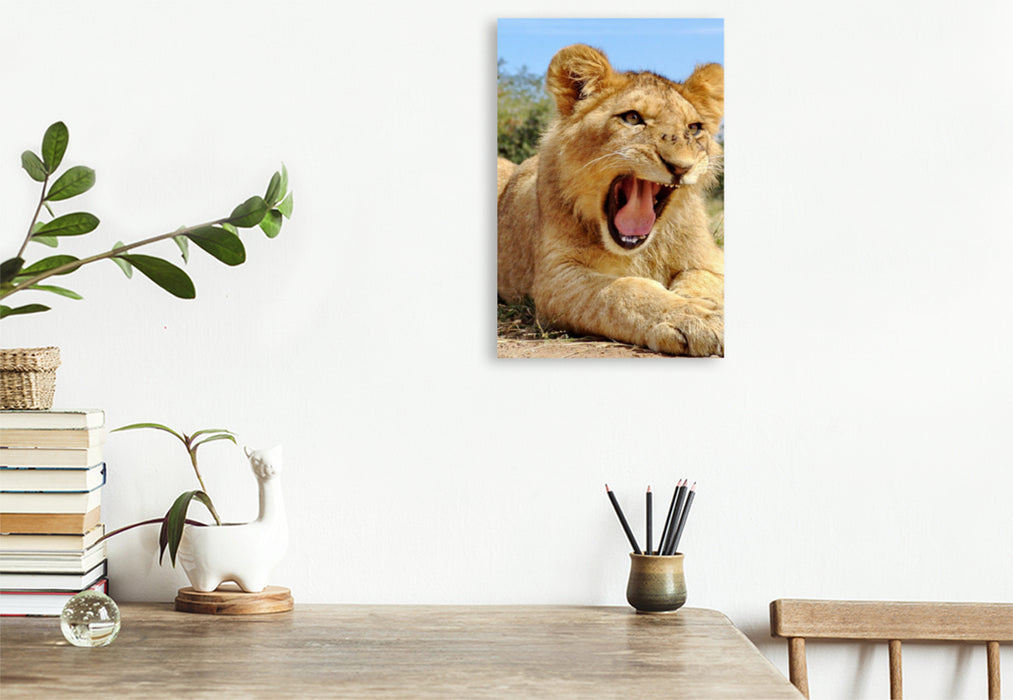 Premium Textil-Leinwand Ein Motiv aus dem Kalender FASZINATION AFRIKA TIER PORTRAITS