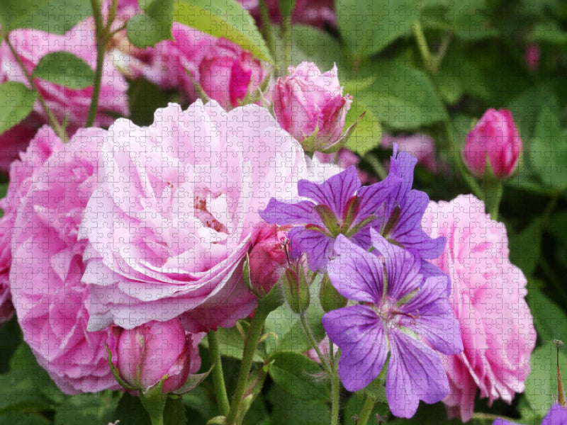 Rosen mit Storchschnabel - CALVENDO Foto-Puzzle'
