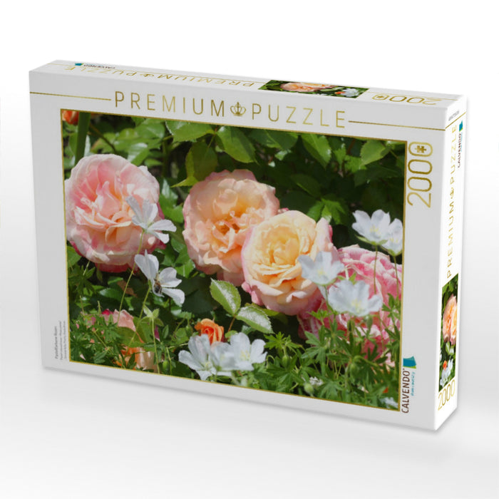 Pastellfarbene Rosen - CALVENDO Foto-Puzzle'