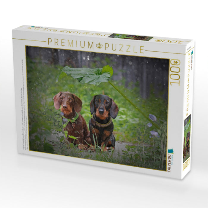 August Schnuffel vom Schwindauer Land, schwarz-rot mit Ida von Kleinhehlen, braun, Rauhaar - CALVENDO Foto-Puzzle'
