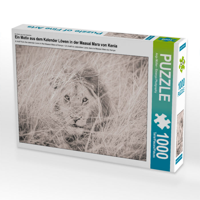 Ein Motiv aus dem Kalender Löwen in der Maasai Mara von Kenia 1000 Teile Puzzle quer - CALVENDO Foto-Puzzle'