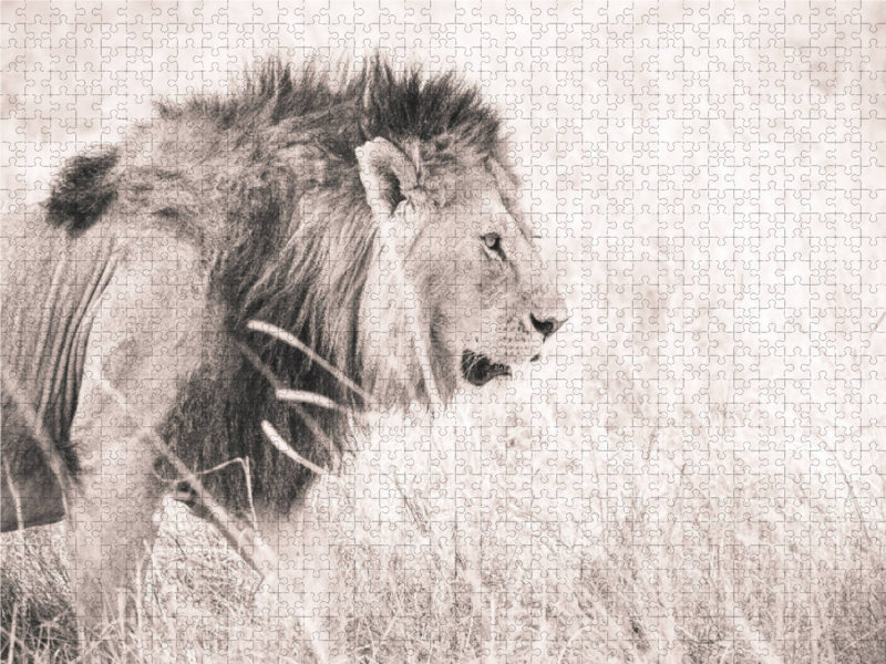 Ein Motiv aus dem Kalender Löwen in der Maasai Mara von Kenia 1000 Teile Puzzle quer - CALVENDO Foto-Puzzle'