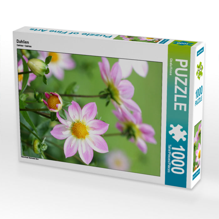 Dahlien 1000 Teile Puzzle hoch - CALVENDO Foto-Puzzle'