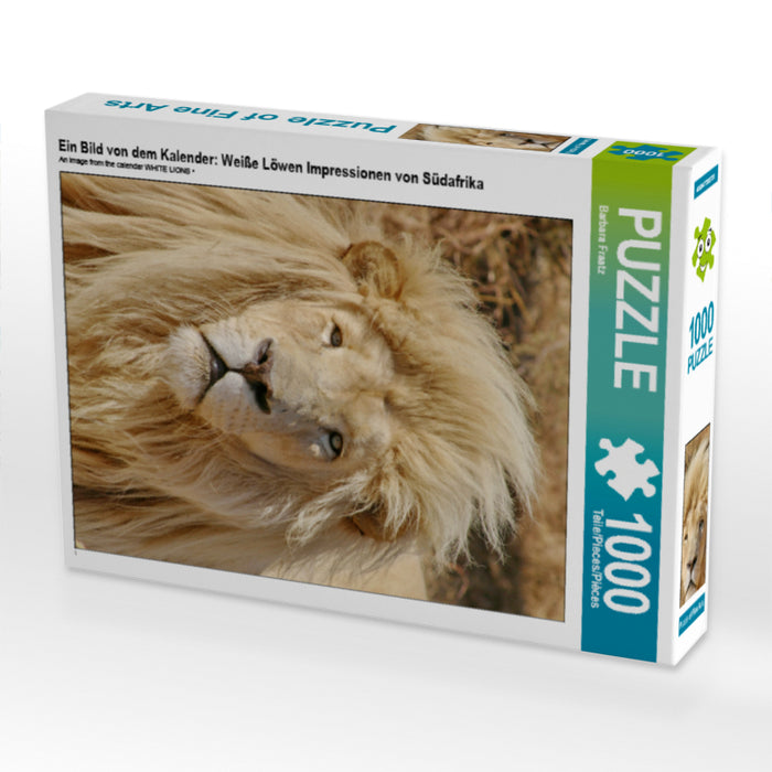 Ein Bild von dem Kalender: Weiße Löwen Impressionen von Südafrika 1000 Teile Puzzle hoch - CALVENDO Foto-Puzzle'