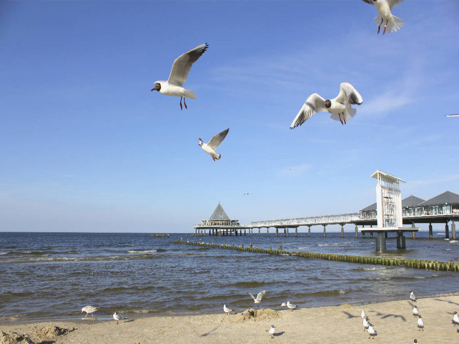 Seebrücke Heringsdorf - CALVENDO Foto-Puzzle'