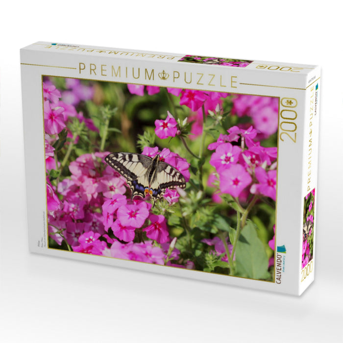Phlox - CALVENDO Foto-Puzzle'