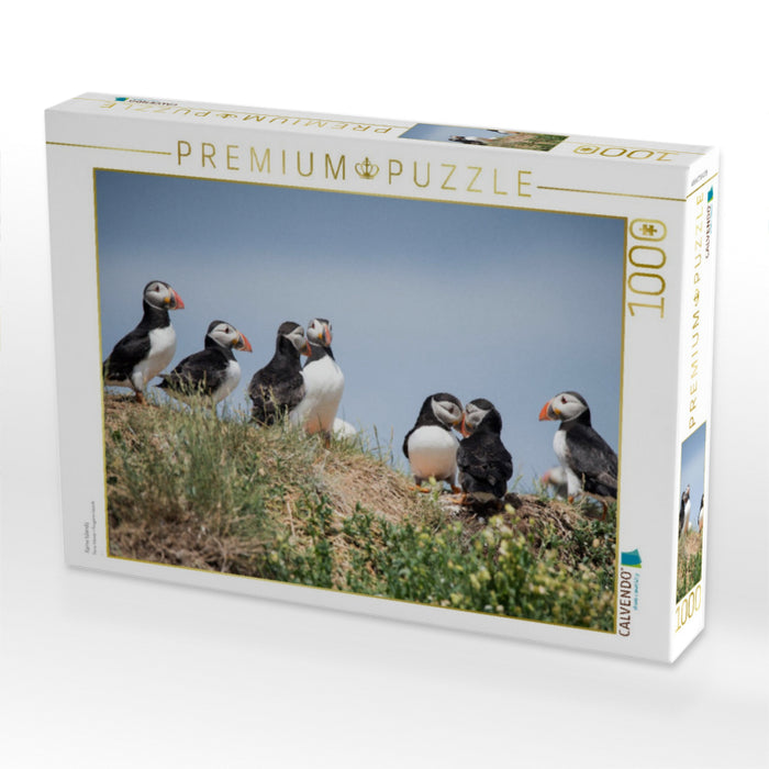 Farne Islands - CALVENDO Foto-Puzzle'