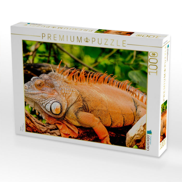 Leguan - CALVENDO Foto-Puzzle'