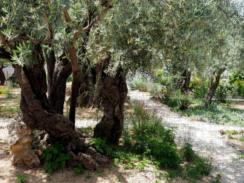 Gethsemane - CALVENDO Foto-Puzzle'