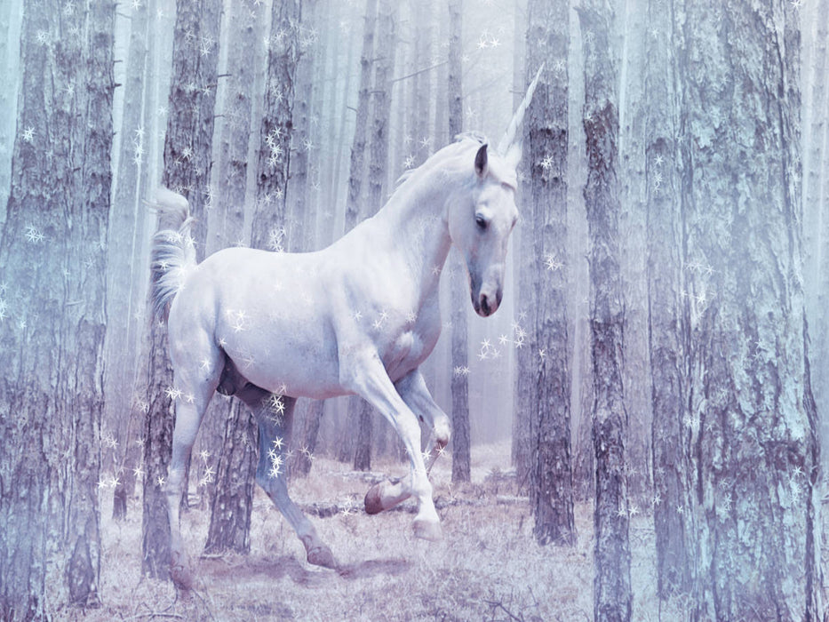 Einhorn - CALVENDO Foto-Puzzle'