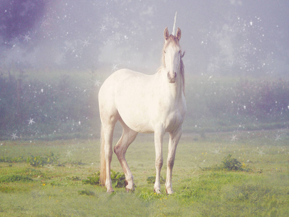 Einhorn - CALVENDO Foto-Puzzle'