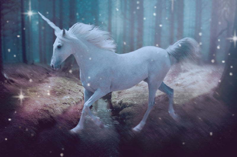 Premium Textil-Leinwand Einhorn