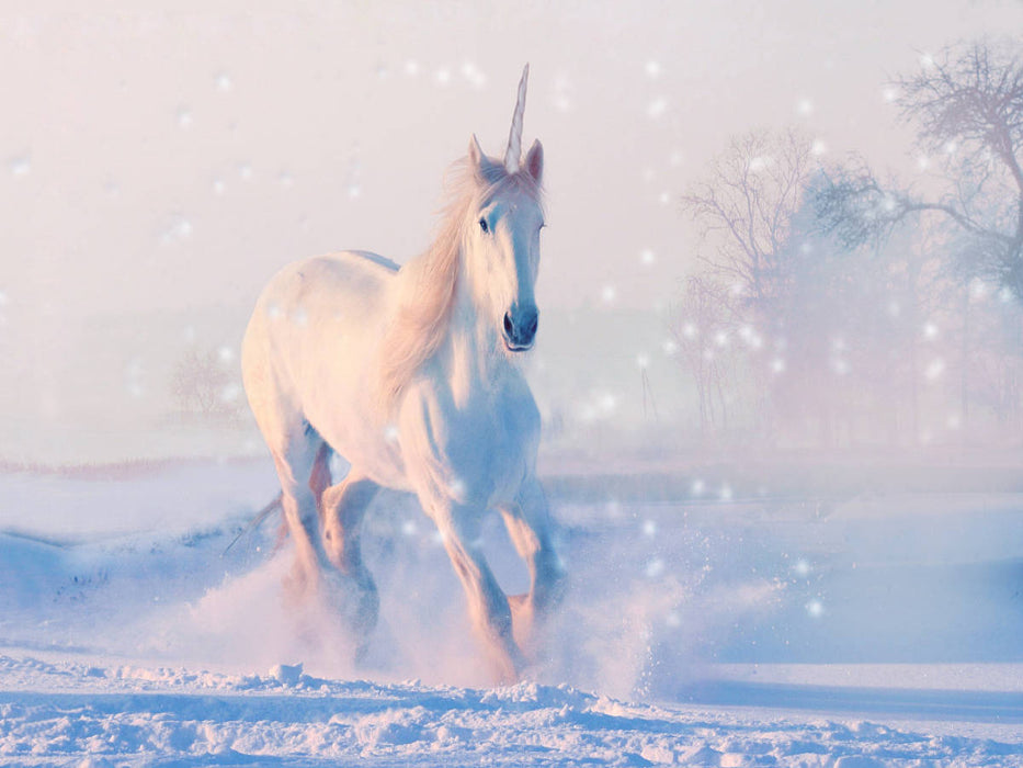 Einhorn - CALVENDO Foto-Puzzle'