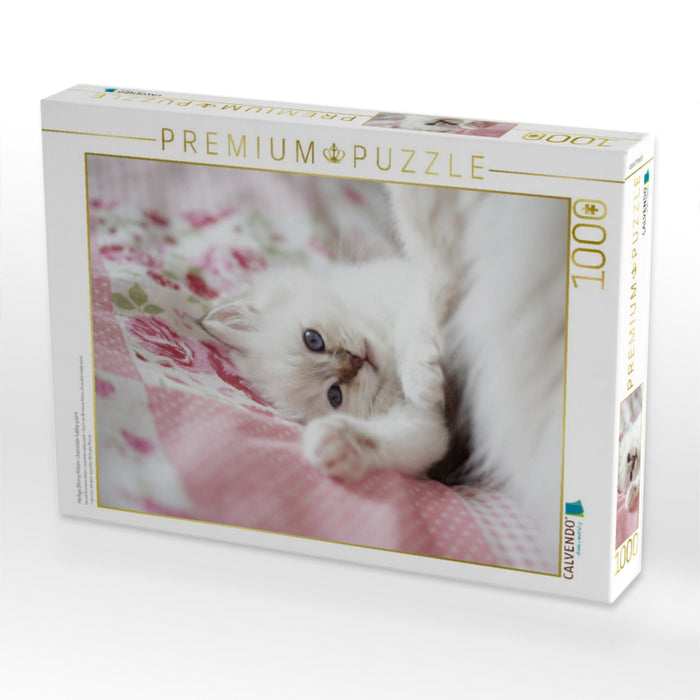 Heilige Birma Kitten, chocolate tabby point - CALVENDO Foto-Puzzle'