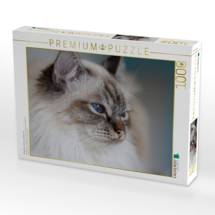 Heilige Birma Katze, seal tabby point - CALVENDO Foto-Puzzle'