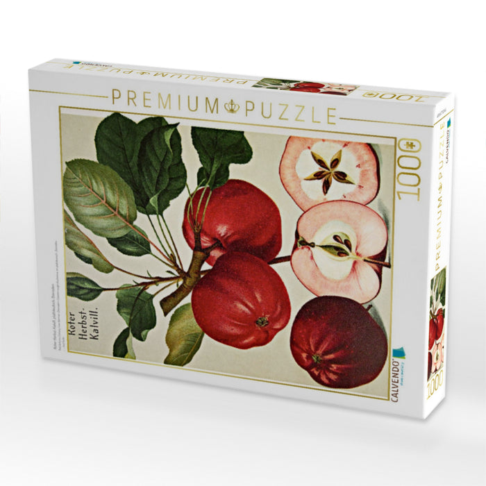 Roter Herbst-Kalvill, plattdeutsch: Dörroden - CALVENDO Foto-Puzzle'