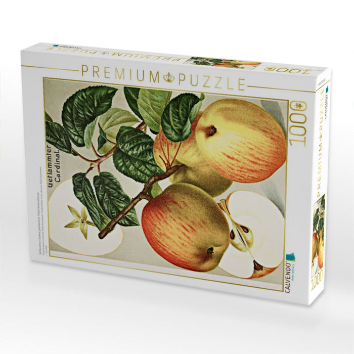 Geflammter Cardinal, plattdeutsch: Falske Gravensteener - CALVENDO Foto-Puzzle'