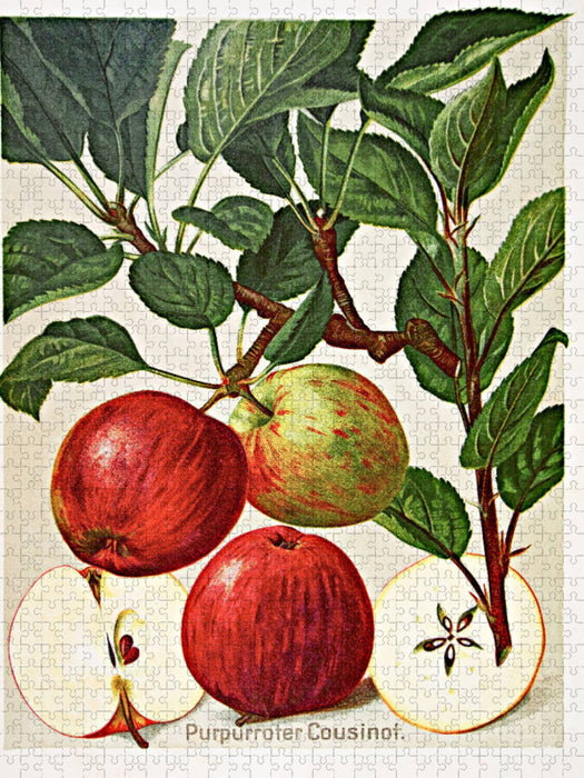 Purpurroter Cousinot - CALVENDO Foto-Puzzle'