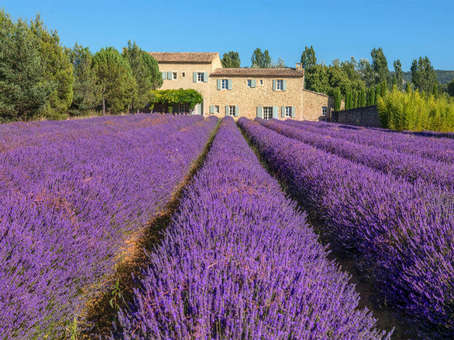 Bauernhaus in Bonnieux - CALVENDO Foto-Puzzle'