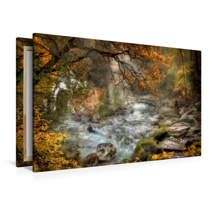 Premium Textil-Leinwand Das Herz des Waldes