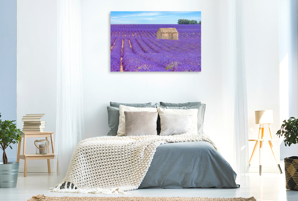 Premium Textil-Leinwand Premium Textil-Leinwand 120 cm x 80 cm quer Ein Motiv aus dem Kalender Provence, Lavendelzeit in Südfrankreich
