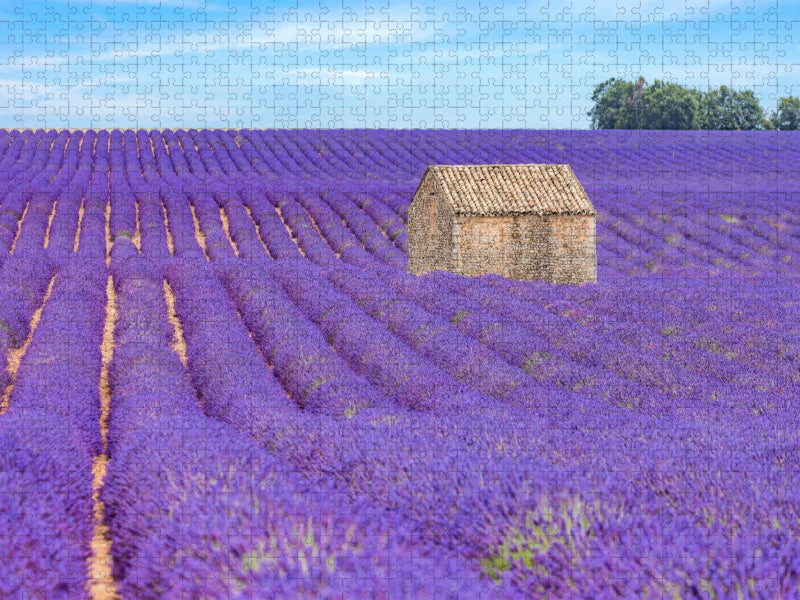 Ein Motiv aus dem Kalender Provence, Lavendelzeit in Südfrankreich - CALVENDO Foto-Puzzle'