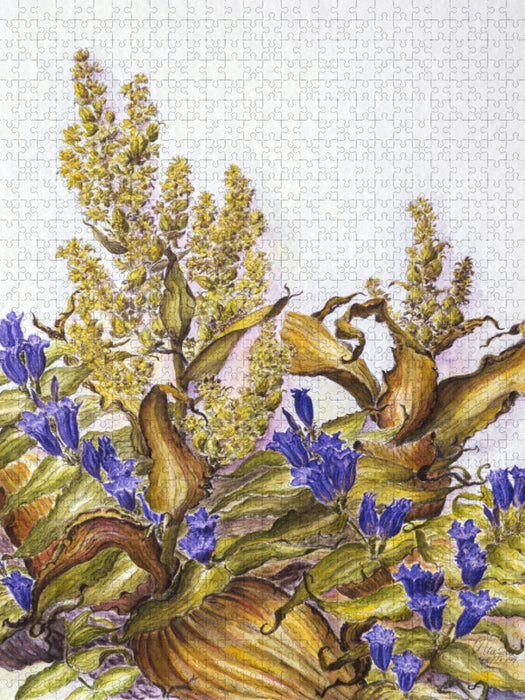 In Mooren oder am Bachufer: Weißer Germer und Schwalbenwurzenzian - CALVENDO Foto-Puzzle'