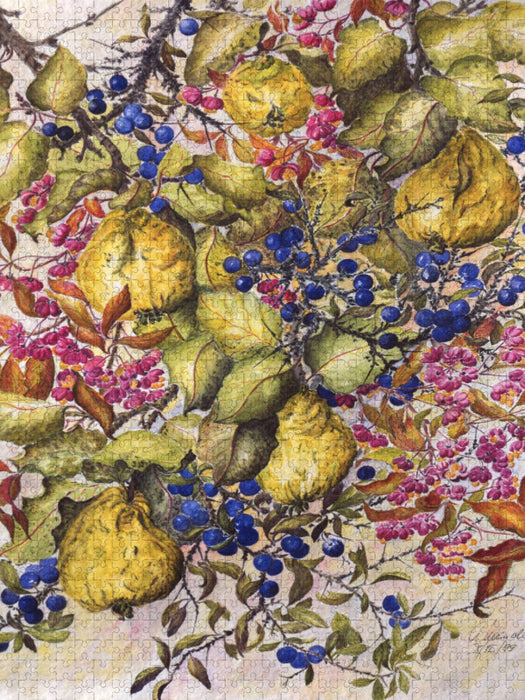 Verwilderter Rand einer Streuobstwiese: Pfaffenhütchen, Quitten, Schlehen - CALVENDO Foto-Puzzle'