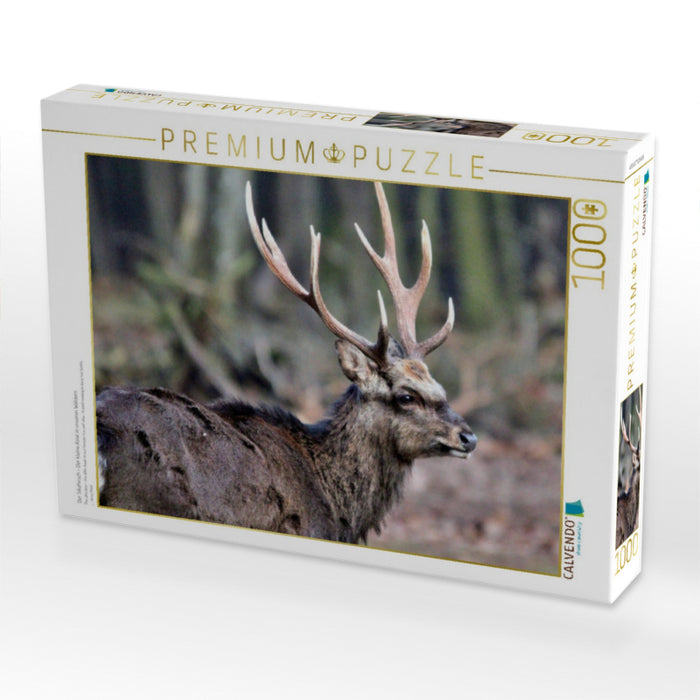 Der Sikahirsch - Der kleine Asiat in unseren Wäldern - CALVENDO Foto-Puzzle'