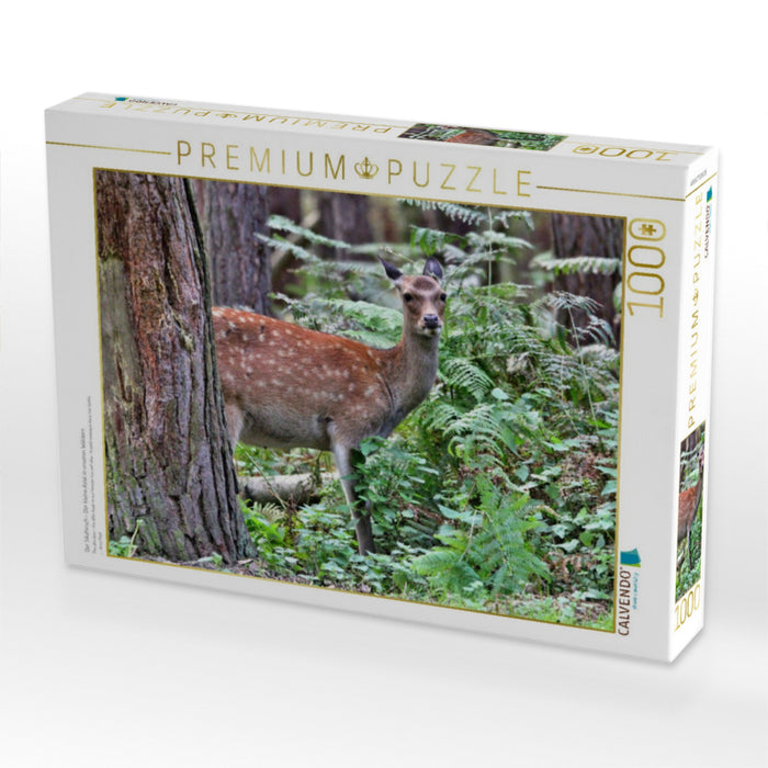 Der Sikahirsch - Der kleine Asiat in unseren Wäldern - CALVENDO Foto-Puzzle'