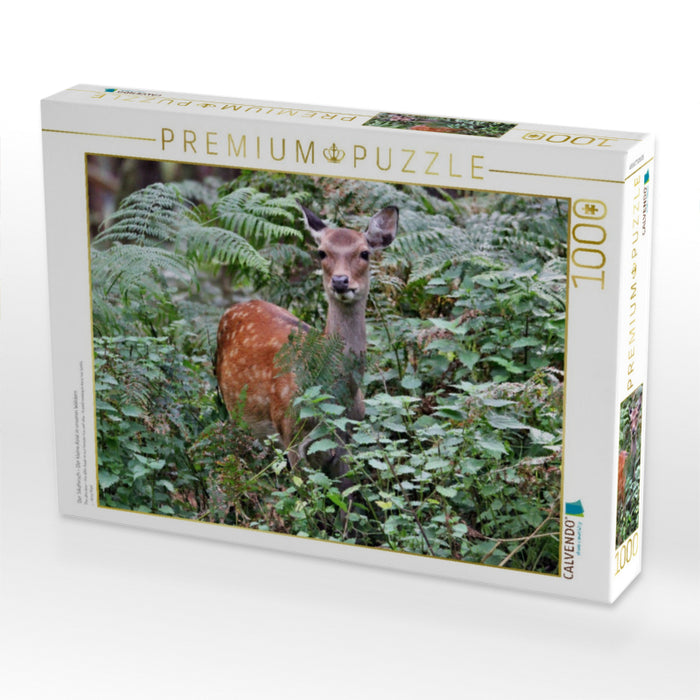 Der Sikahirsch - Der kleine Asiat in unseren Wäldern - CALVENDO Foto-Puzzle'