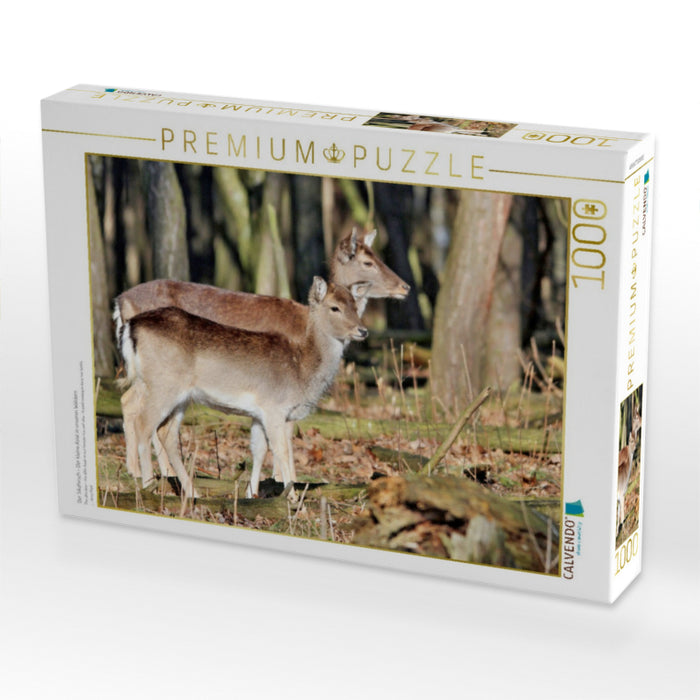 Der Sikahirsch - Der kleine Asiat in unseren Wäldern - CALVENDO Foto-Puzzle'