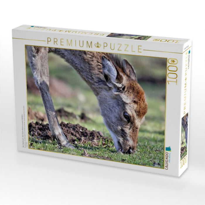 Der Sikahirsch - Der kleine Asiat in unseren Wäldern - CALVENDO Foto-Puzzle'