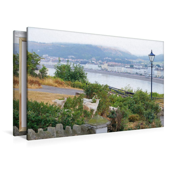 Premium Textil-Leinwand Llandudno
