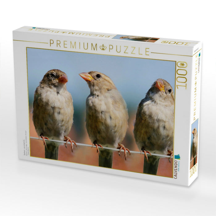 Spatzen - aus einem Ei... - CALVENDO Foto-Puzzle'