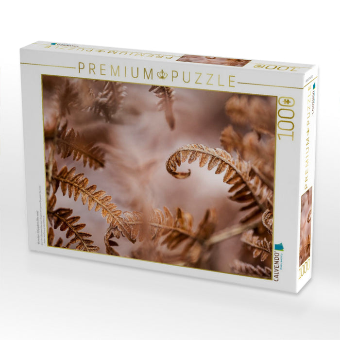 Wurmfarn (Dryopteris filix-mas) - CALVENDO Foto-Puzzle'