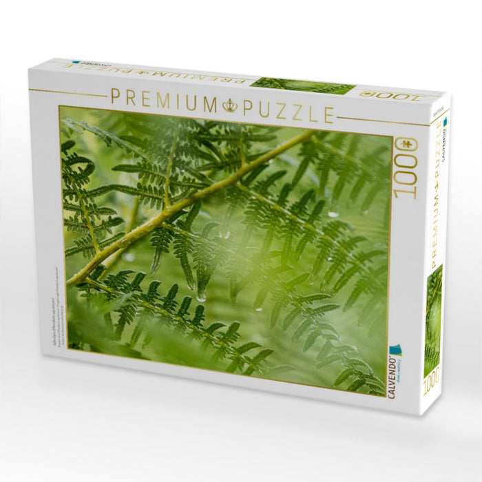 Adlerfarn (Pteridium aquilinum) - CALVENDO Foto-Puzzle'