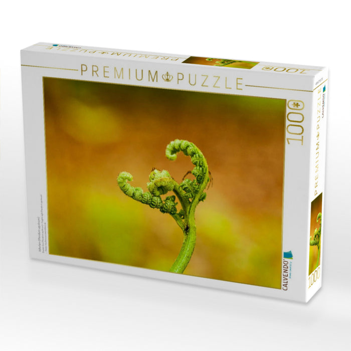 Adlerfarn (Pteridium aquilinum) - CALVENDO Foto-Puzzle'