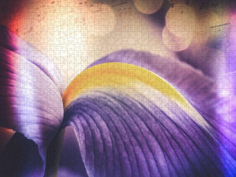 Iris-Blüte, blau - CALVENDO Foto-Puzzle'