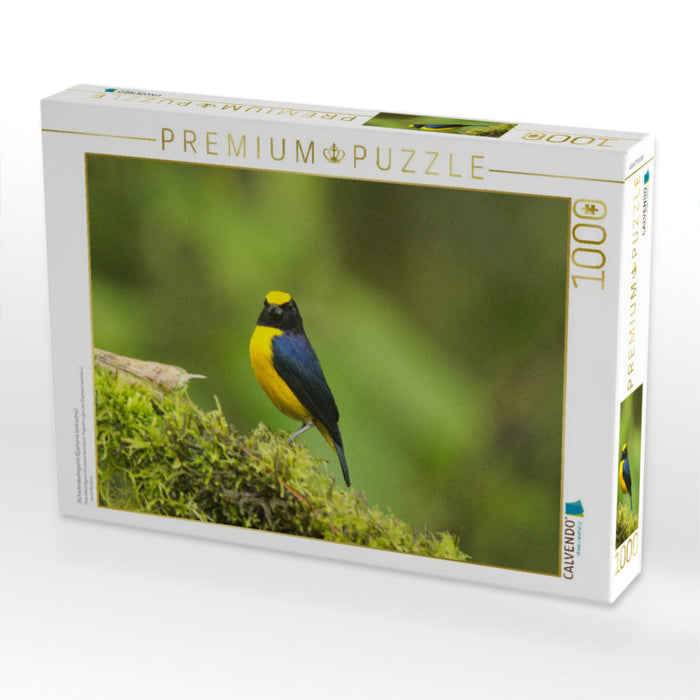 Dickschnabelorganist (Euphonia laniirostris) - CALVENDO Foto-Puzzle'