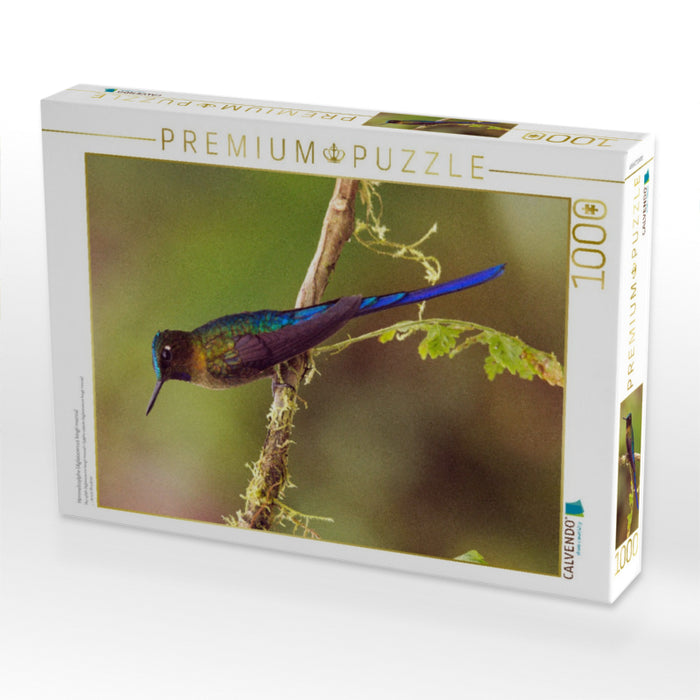Himmelssylphe (Aglaiocercus kingii mocoa) - CALVENDO Foto-Puzzle'
