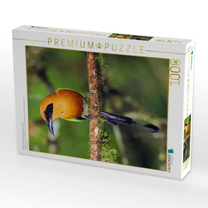 Zimtbrustmotmot (Baryphthengus martii) - CALVENDO Foto-Puzzle'