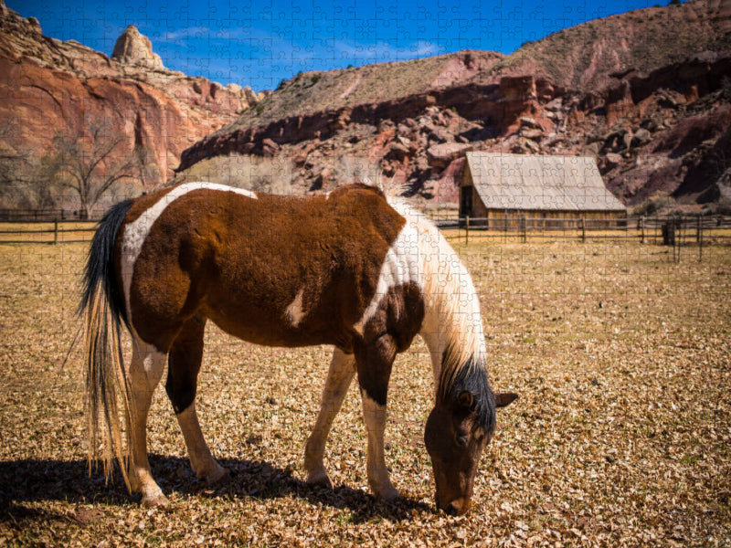 Capitol Reef NP - CALVENDO Foto-Puzzle'