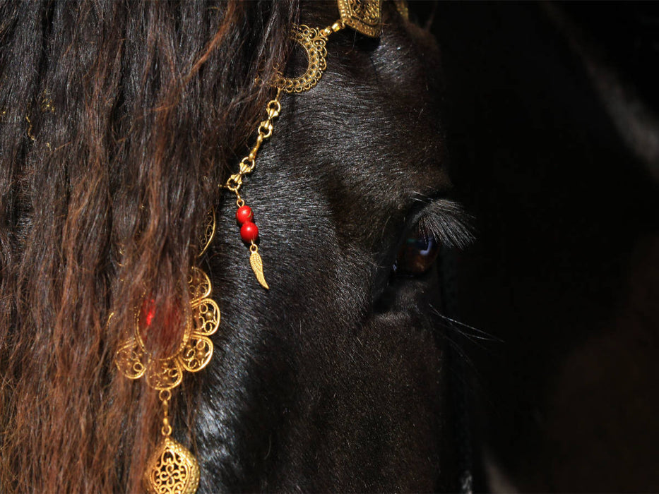 Ein Motiv aus dem Kalender Magische Momente - Pferde Horses Caballos 1000 Teile Puzzle quer - CALVENDO Foto-Puzzle'