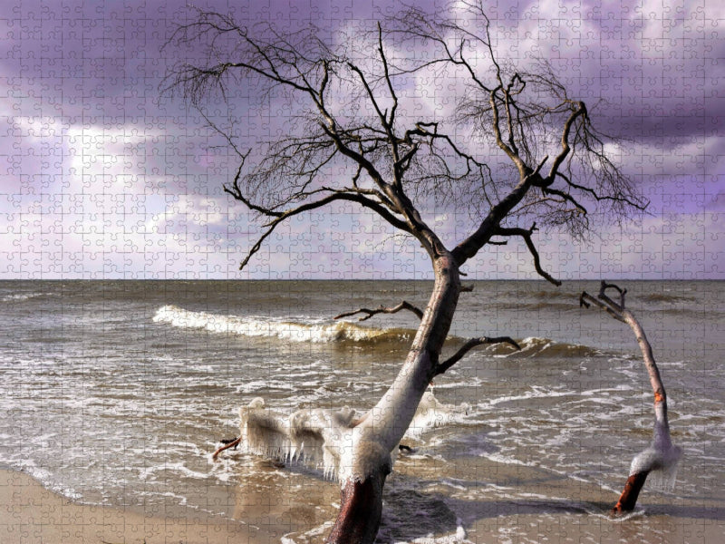 Der Winter ist ein Künstler - CALVENDO Foto-Puzzle'