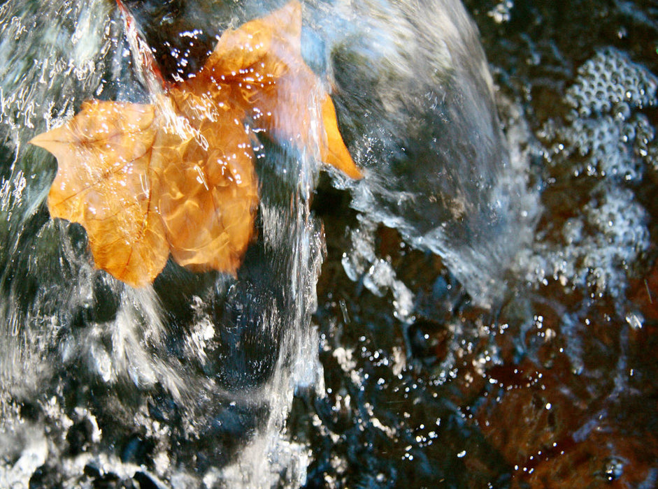 Blatt im Wasserspiel - CALVENDO Foto-Puzzle'