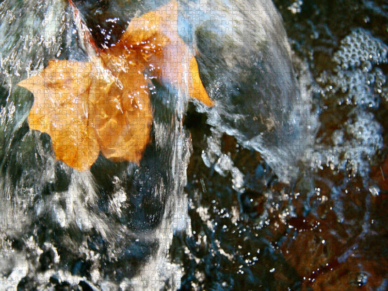 Blatt im Wasserspiel - CALVENDO Foto-Puzzle'